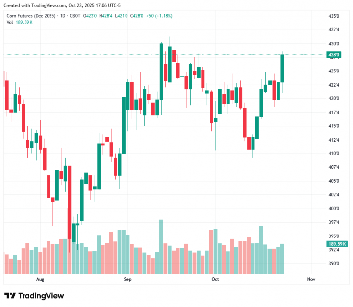 34caf27013afe9c8c3c9c8f68d8045ac_1761257