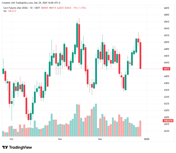 08010e348153c418ea5bfc01feae4915_1767046