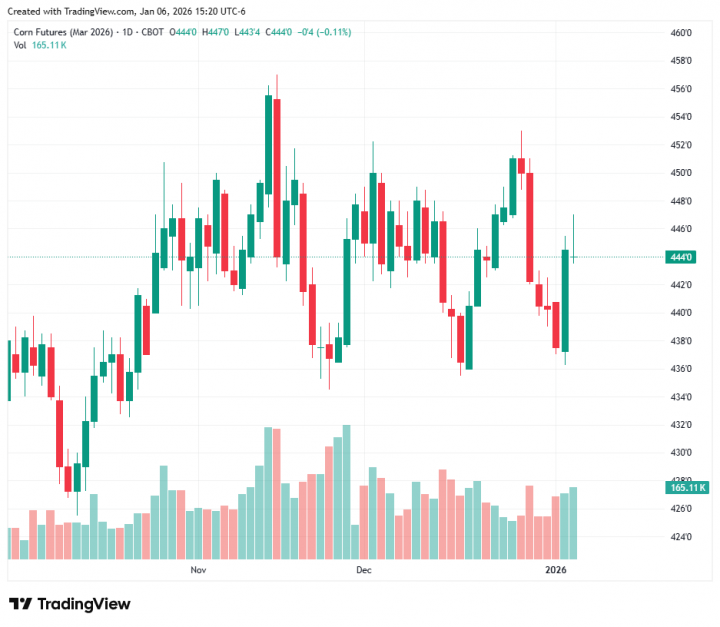 d91e00bfced83e8de2e884c91a9a1816_1767734