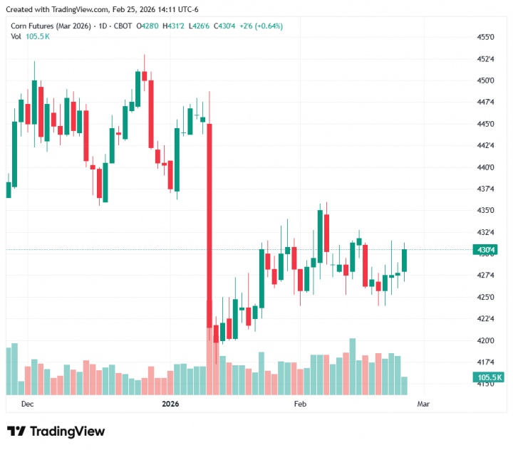 09055c8278dbca44dcb886fa82697419_1772050