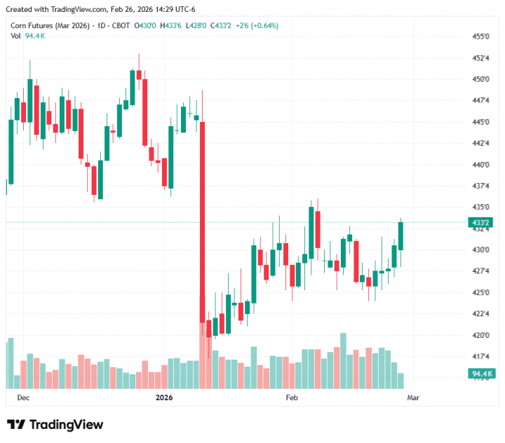 9971965a9cdd5cb024ce75138b8c31bc_1772137