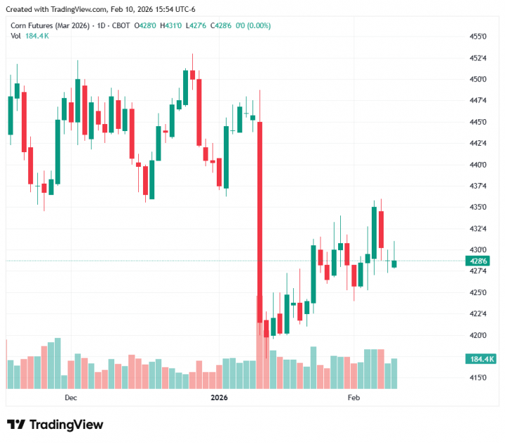 d2b003eb696e37cbcfb3d527f84caffb_1770760